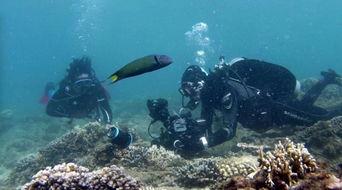 水下中国,探寻水下中国的神秘世界